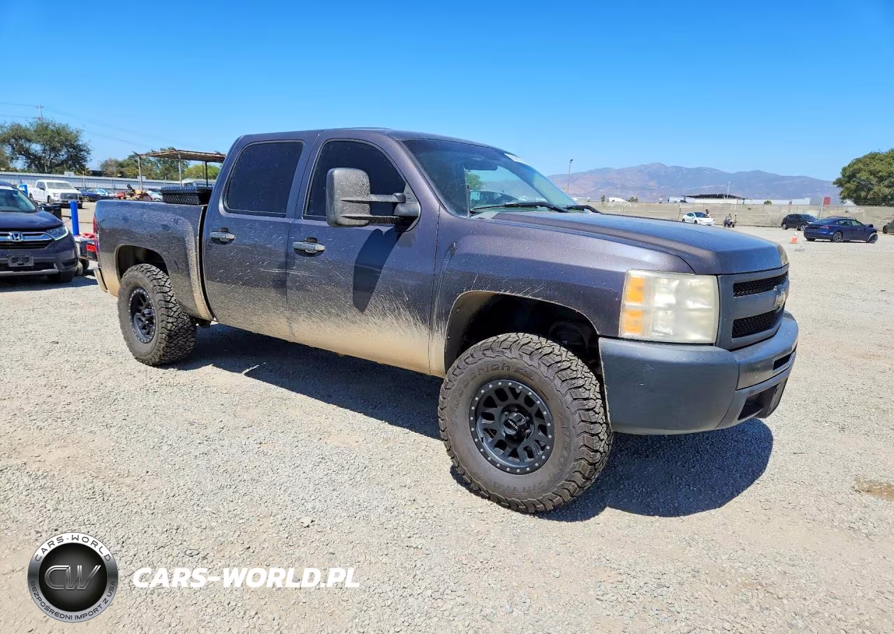 2010 Chevrolet Silverado C1500 VIN:3GCRCPEA2AG262947 - 4