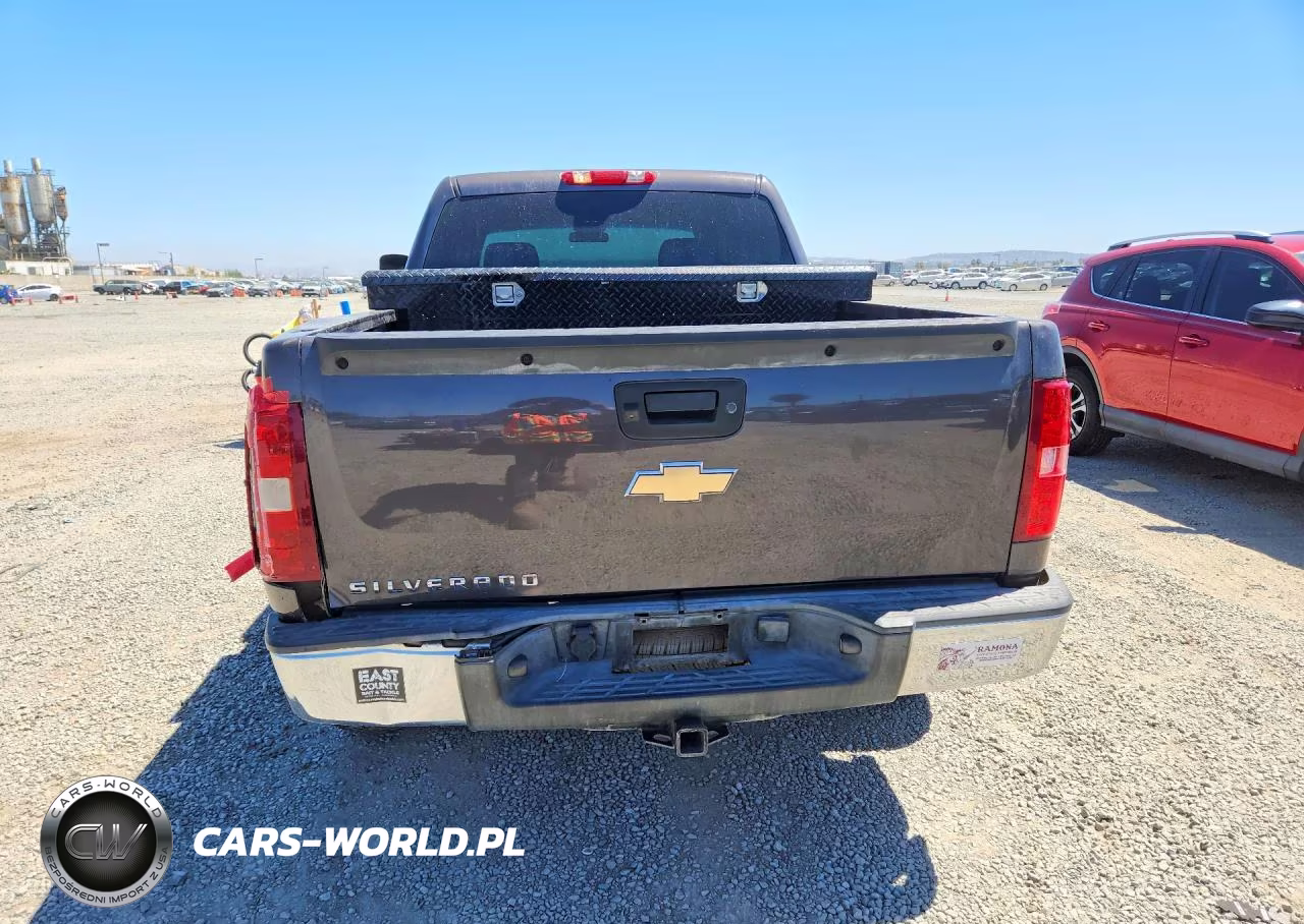 2010 Chevrolet Silverado C1500 VIN:3GCRCPEA2AG262947 - 6