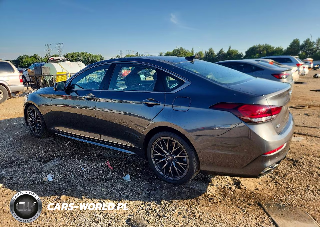 2019 Genesis G80 3.3T Sport VIN:KMHGN4JB3KU289373 - 2
