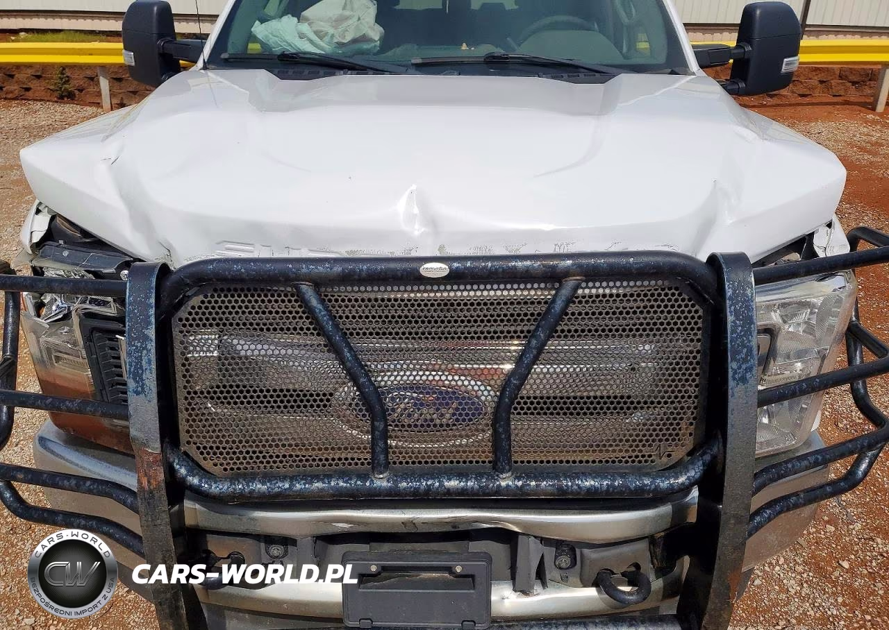 2017 Ford F250 Super Duty VIN:1FT7W2BT9HED86884 - 12