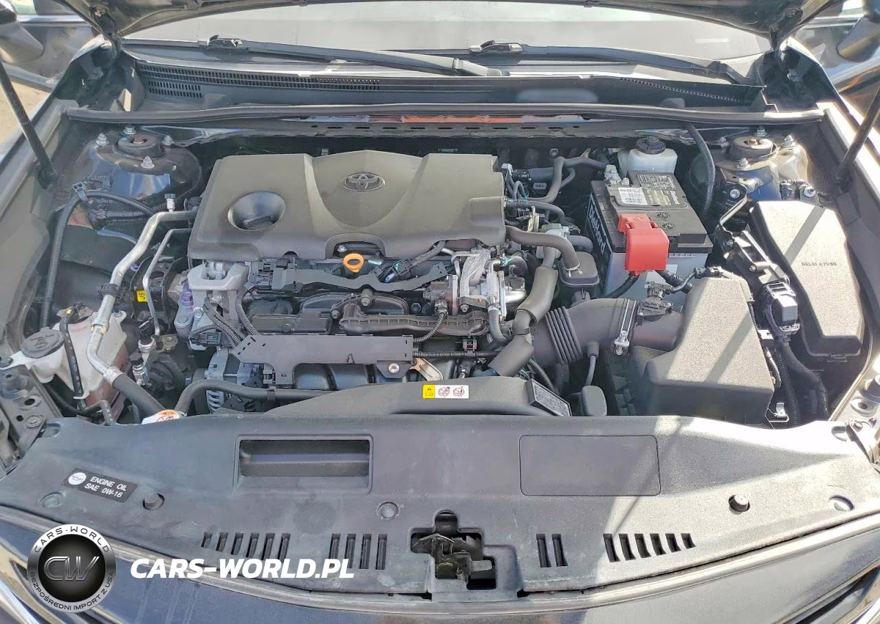 2019 Toyota Camry Se VIN:4T1B11HK3KU261535 - 11