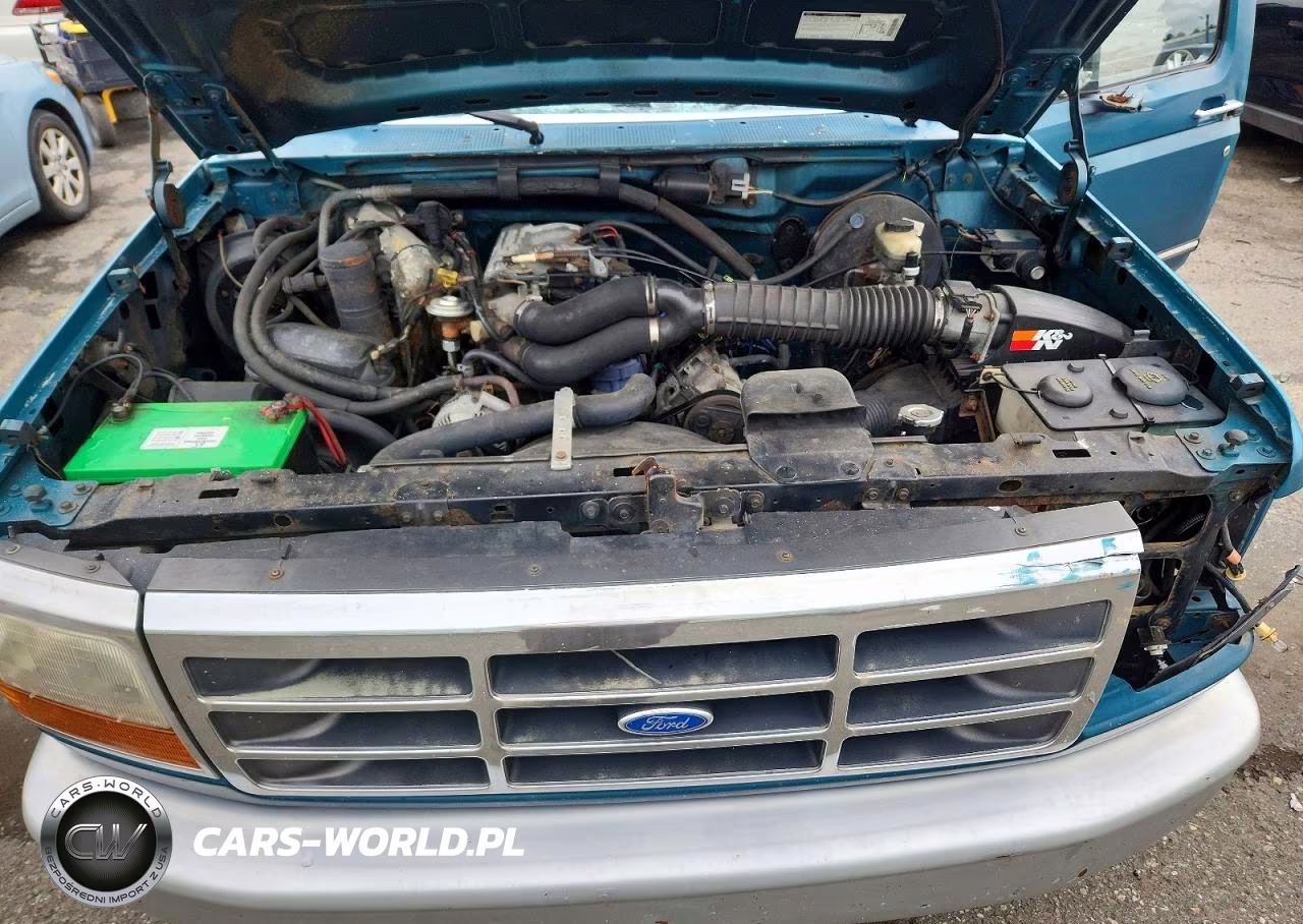 1996 Ford F150 VIN:2FTEF14N4TCA10172 - 11