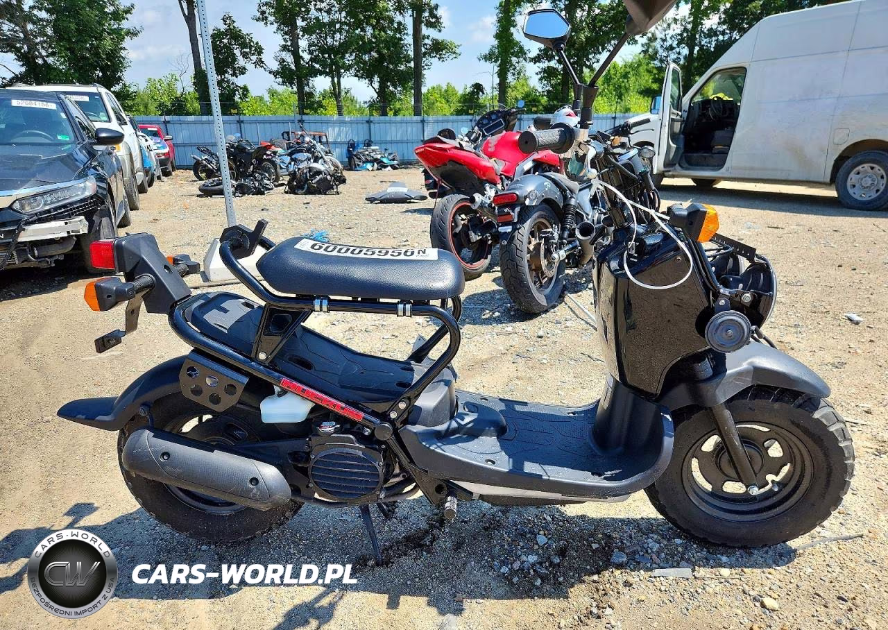 2017 Honda Nps50
