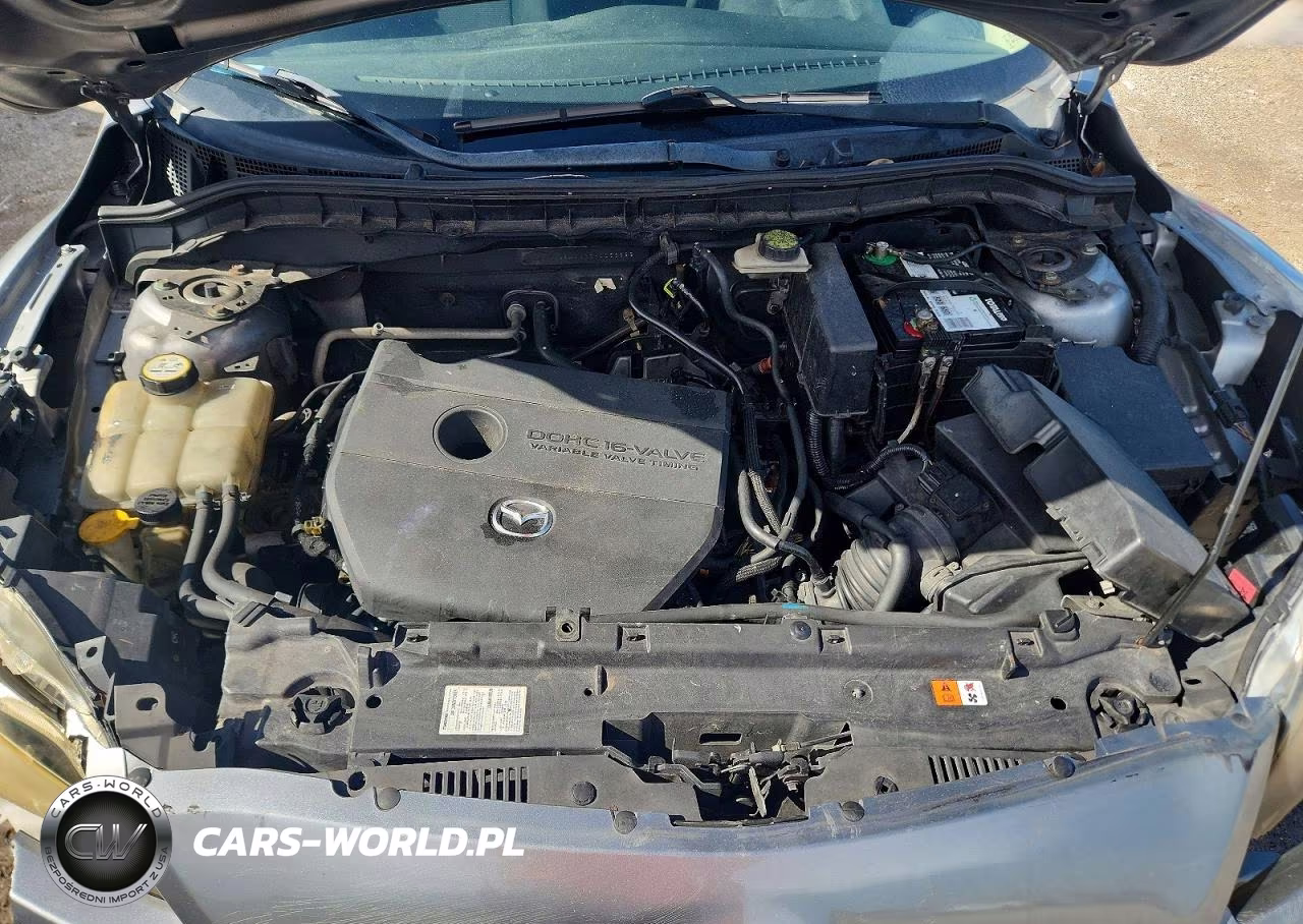 2010 Mazda 3 I VIN:JM1BL1SG5A1156899 - 11