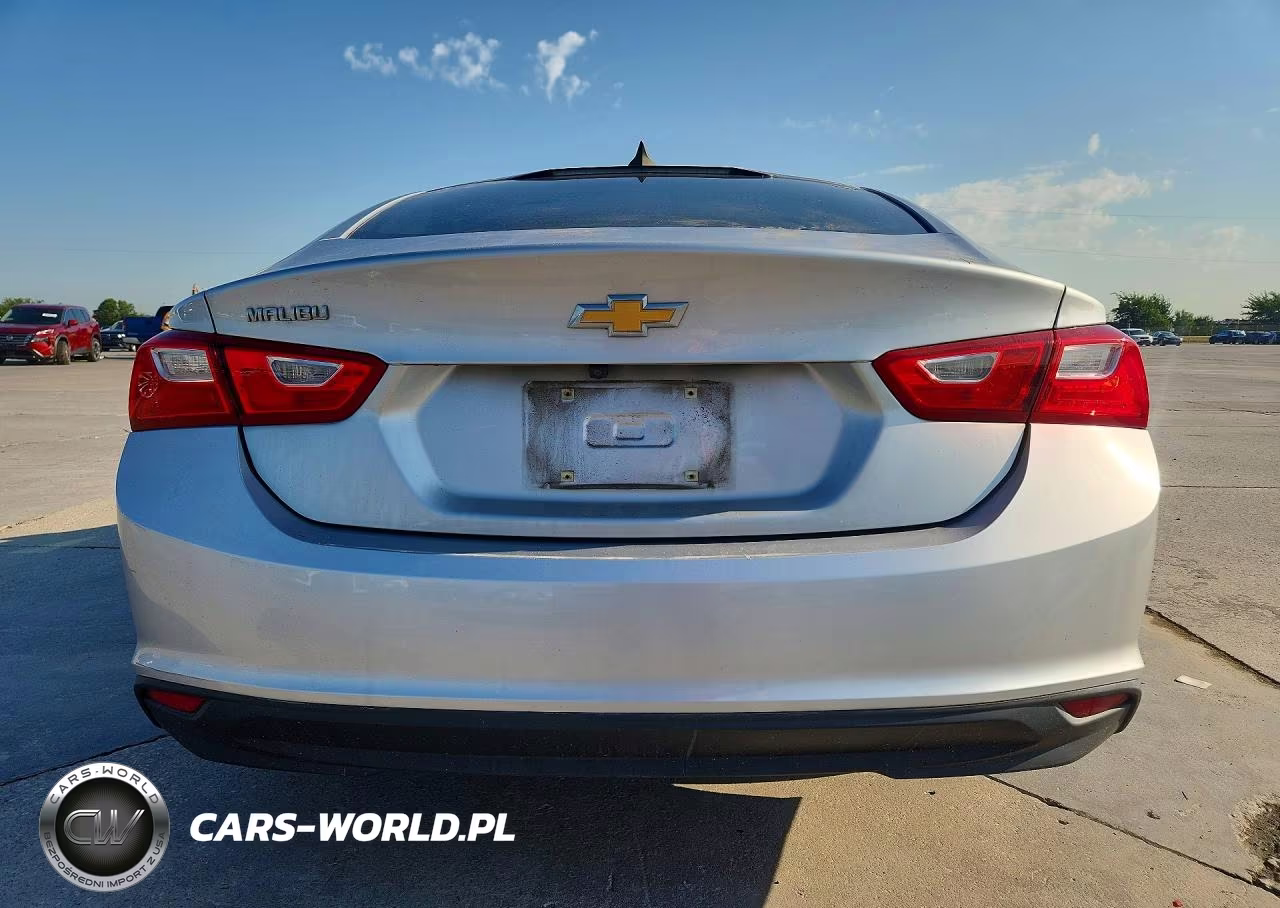 2019 Chevrolet Malibu Ls VIN:1G1ZB5STXKF145576 - 6