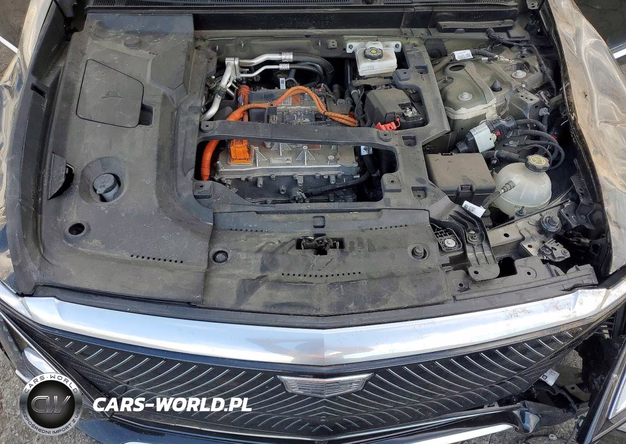 2024 Cadillac Lyriq Luxury VIN:1GYKPPRL0RZ106669 - 12
