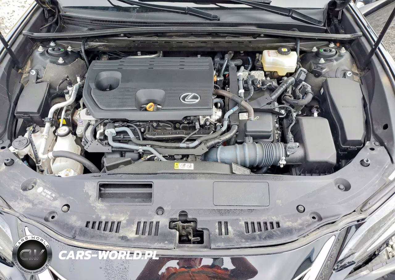 2023 Lexus Es 300H F Sport Handling VIN:58ABA1C16PU029798 - 11