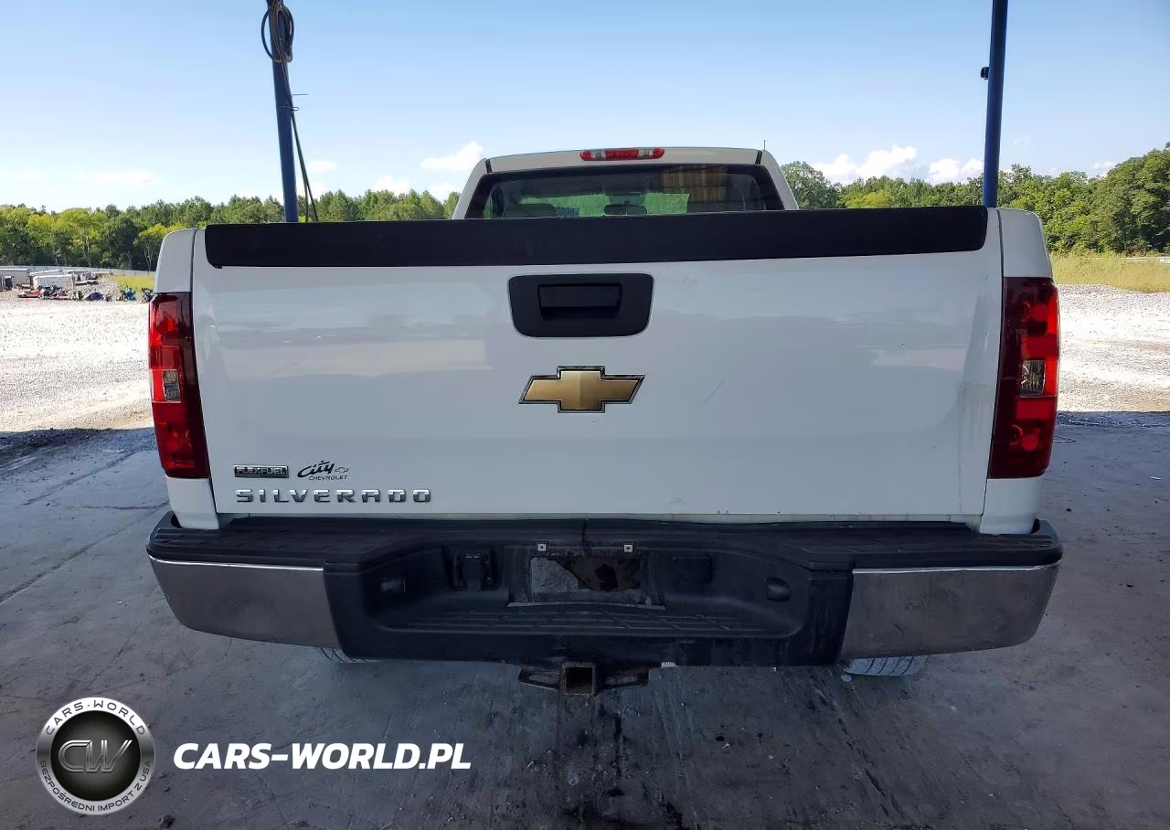 2011 Chevrolet Silverado C1500 VIN:1GCNCPEA8BZ192421 - 6