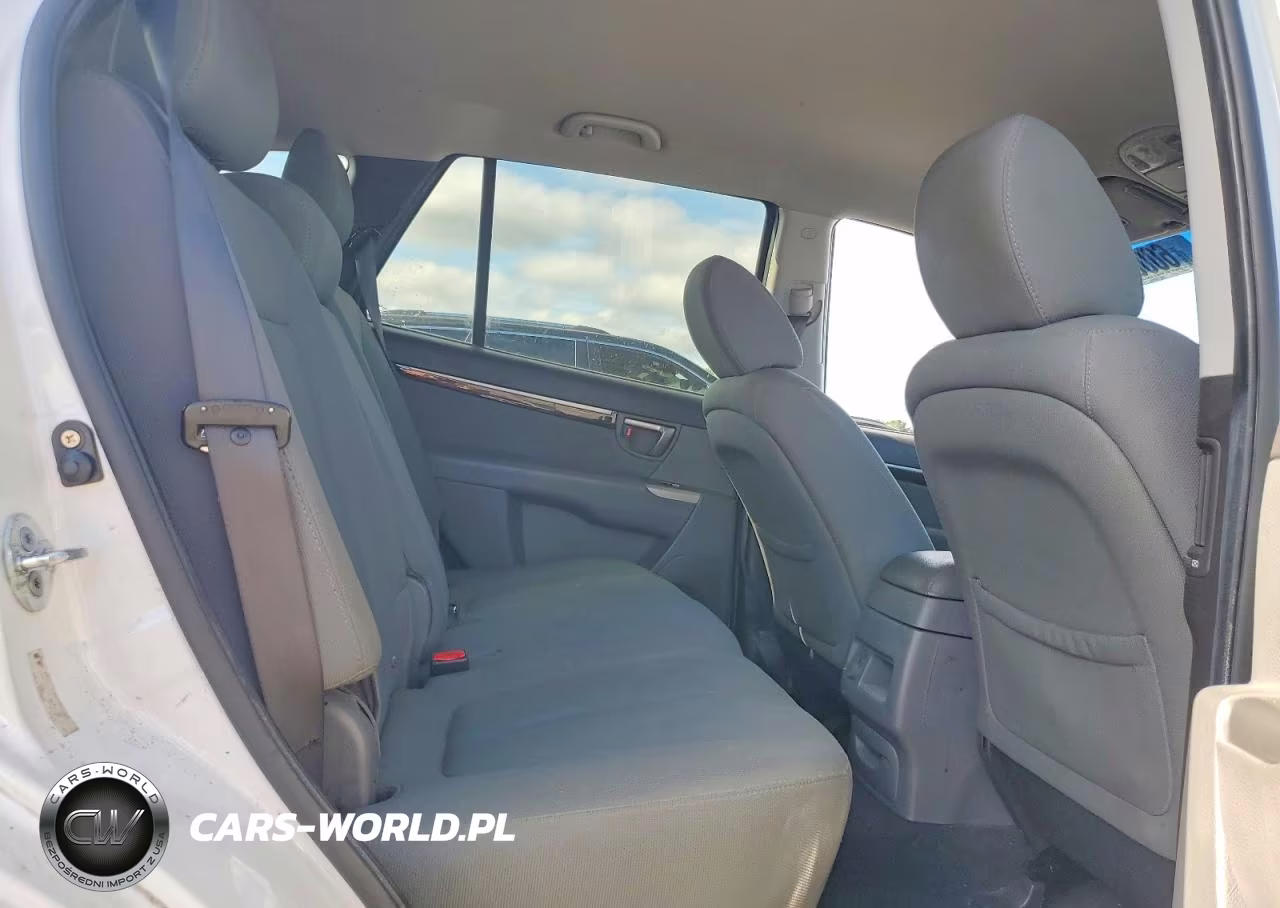 2010 Hyundai Santa Fe Gls VIN:5NMSGDAB5AH345747 - 11
