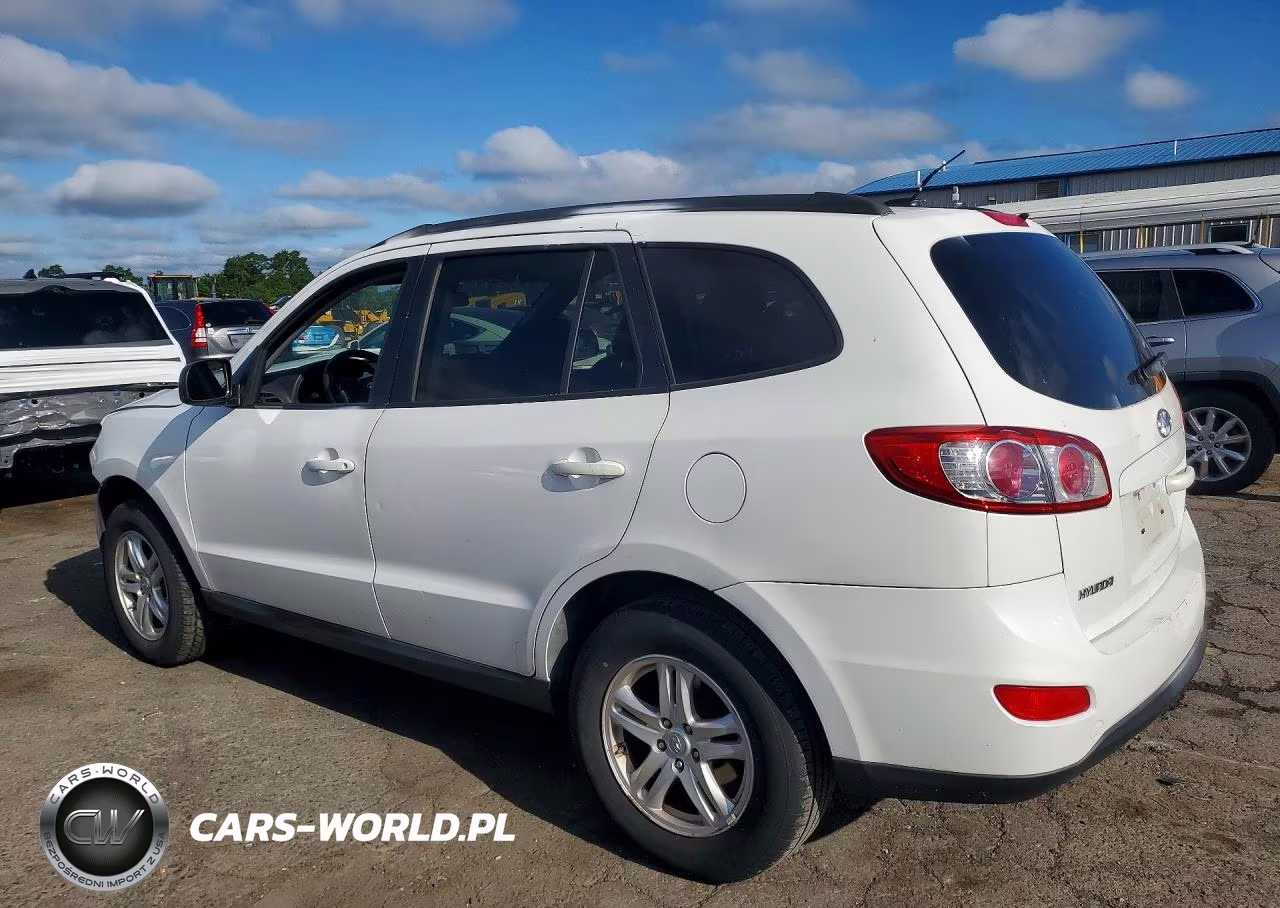 2010 Hyundai Santa Fe Gls VIN:5NMSGDAB5AH345747 - 2
