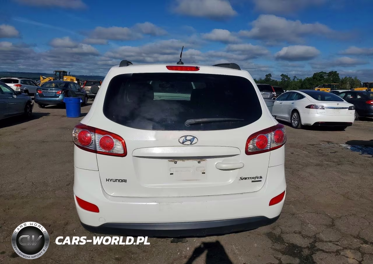 2010 Hyundai Santa Fe Gls VIN:5NMSGDAB5AH345747 - 6