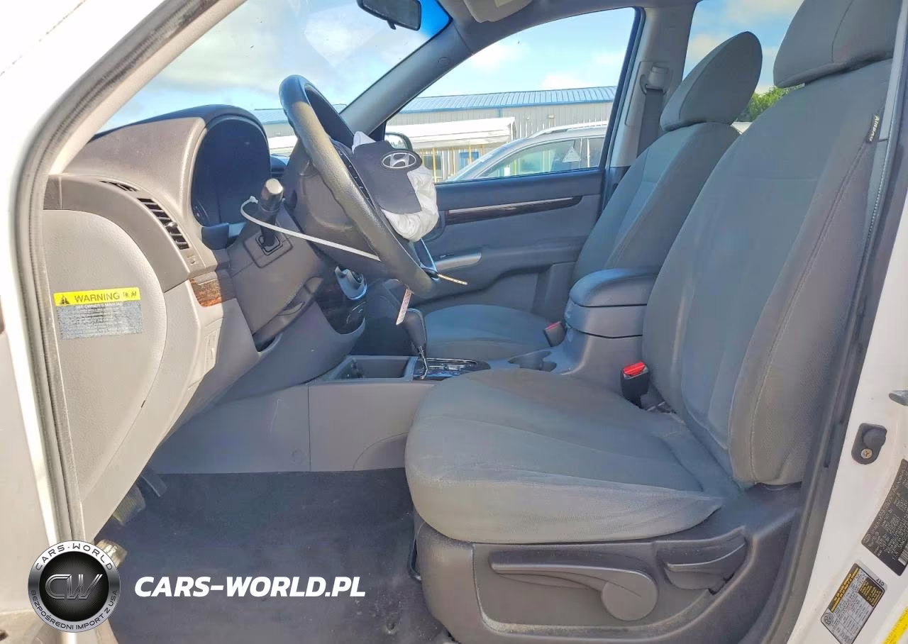 2010 Hyundai Santa Fe Gls VIN:5NMSGDAB5AH345747 - 7