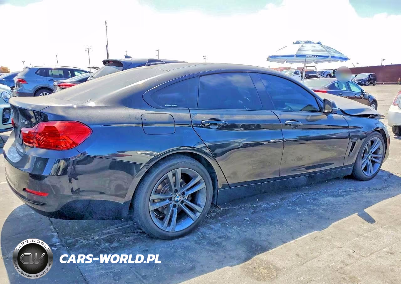 2015 BMW 428 I Gran Coupe Sulev VIN:WBA4A9C59FGL86991 - 3