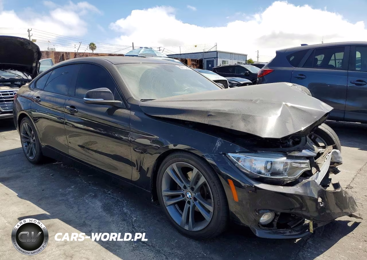 2015 BMW 428 I Gran Coupe Sulev VIN:WBA4A9C59FGL86991 - 4