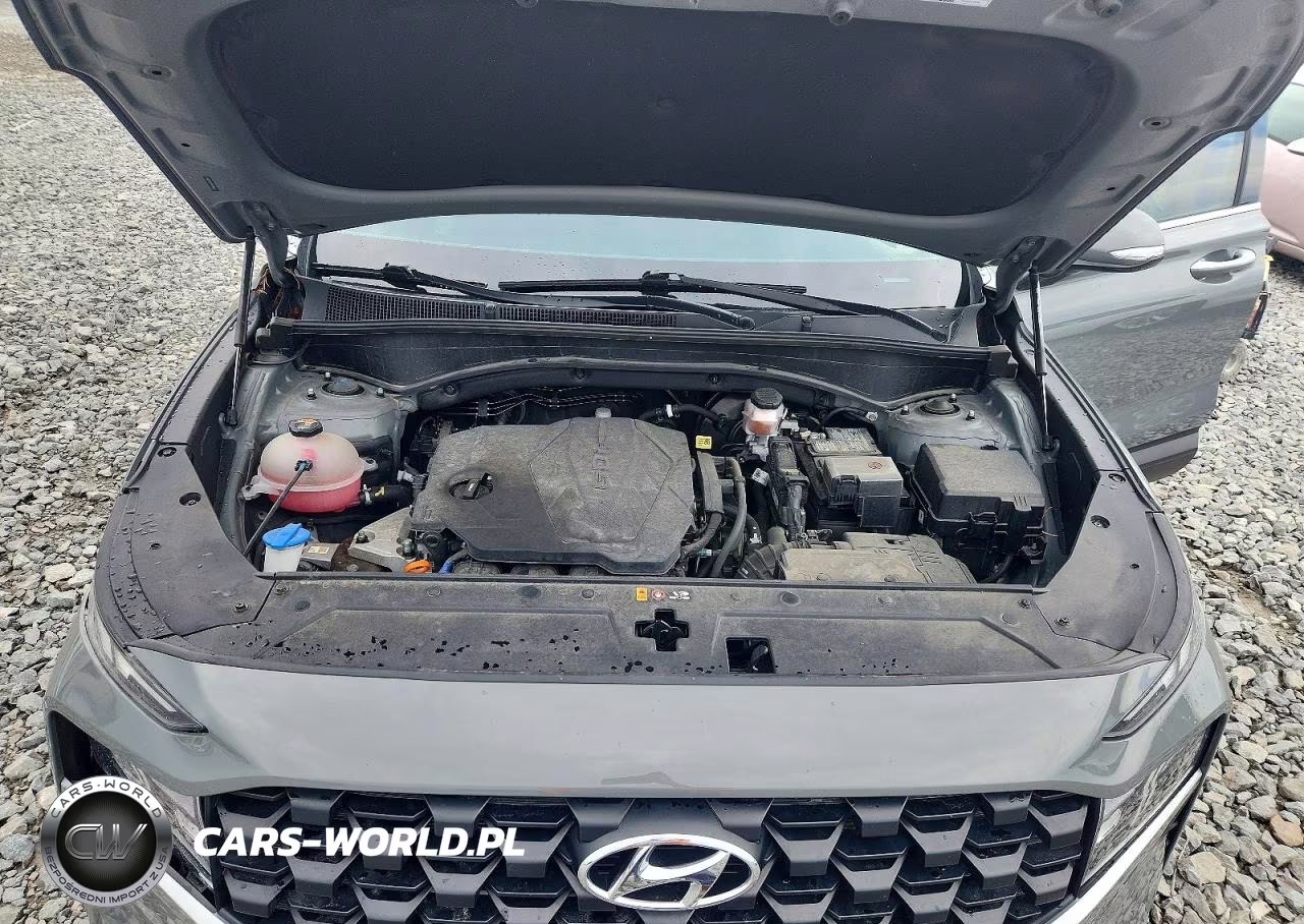 2023 Hyundai Santa Fe Sel VIN:5NMS2DAJ9PH509662 - 12