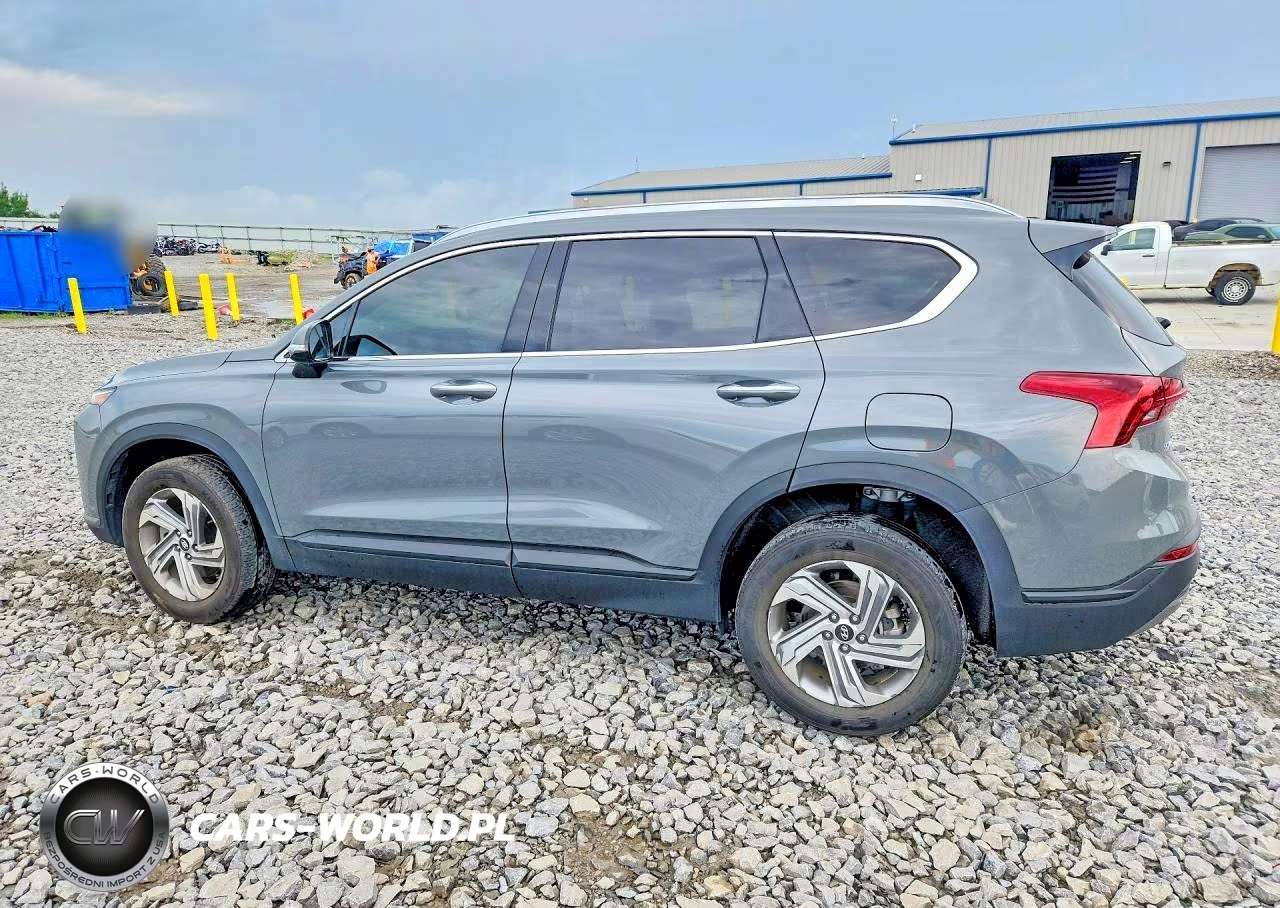 2023 Hyundai Santa Fe Sel VIN:5NMS2DAJ9PH509662 - 2