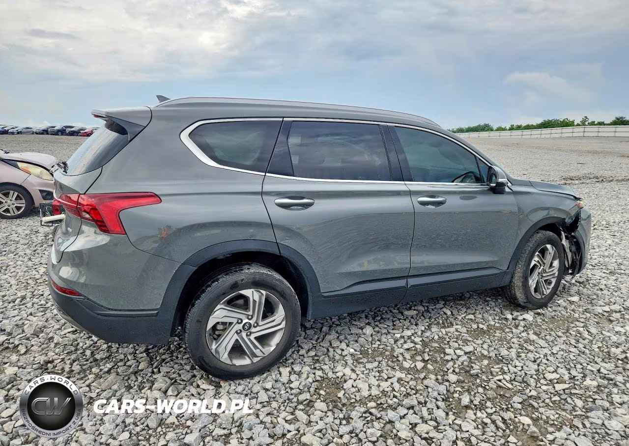 2023 Hyundai Santa Fe Sel VIN:5NMS2DAJ9PH509662 - 3
