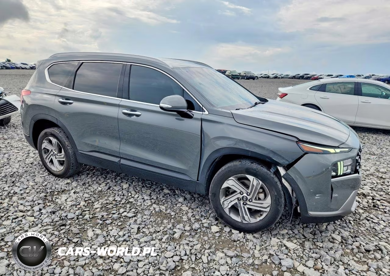 2023 Hyundai Santa Fe Sel VIN:5NMS2DAJ9PH509662 - 4