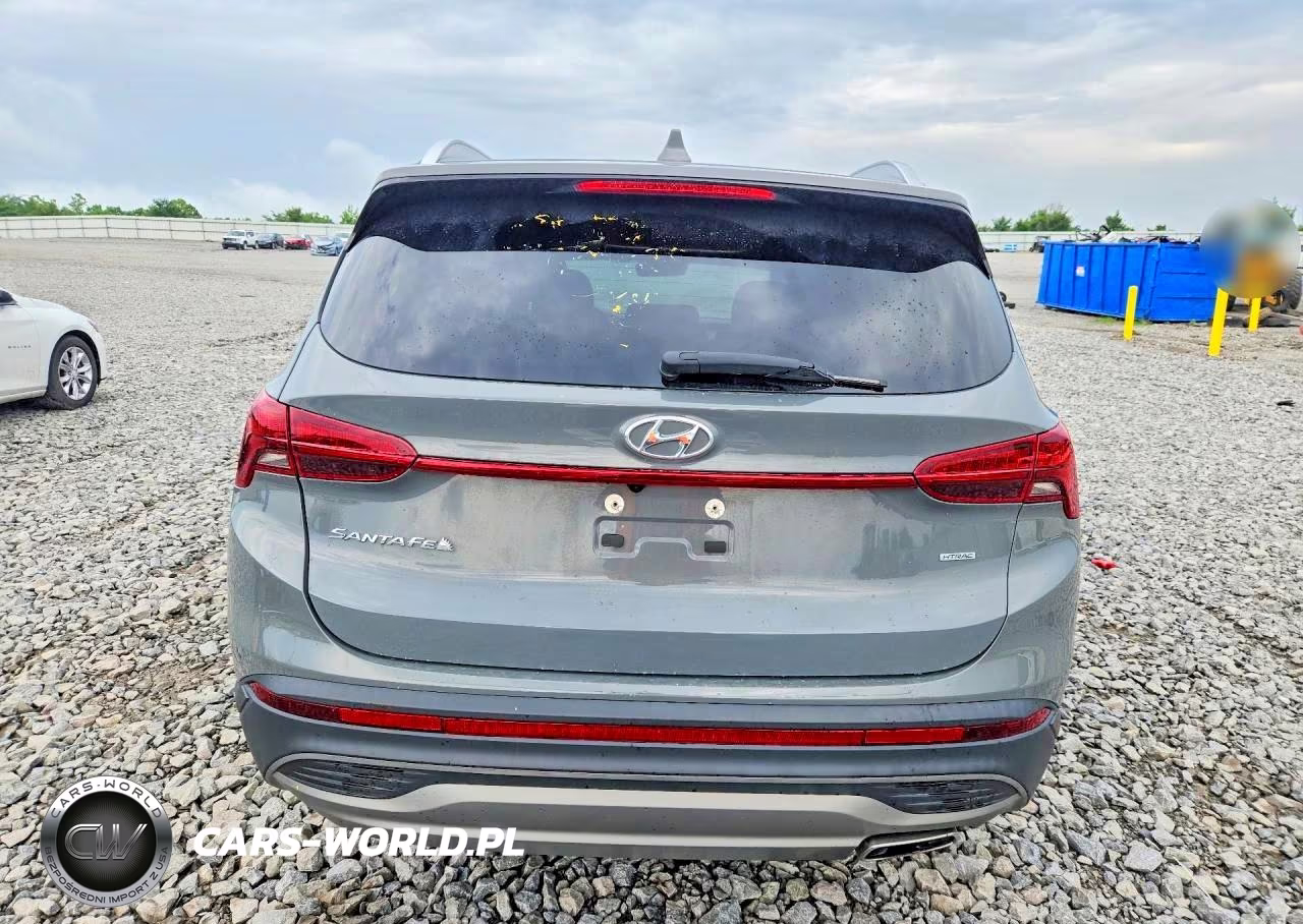 2023 Hyundai Santa Fe Sel VIN:5NMS2DAJ9PH509662 - 6