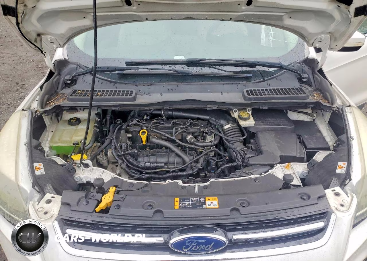 2014 Ford Escape Titanium VIN:1FMCU9JX1EUA09786 - 12