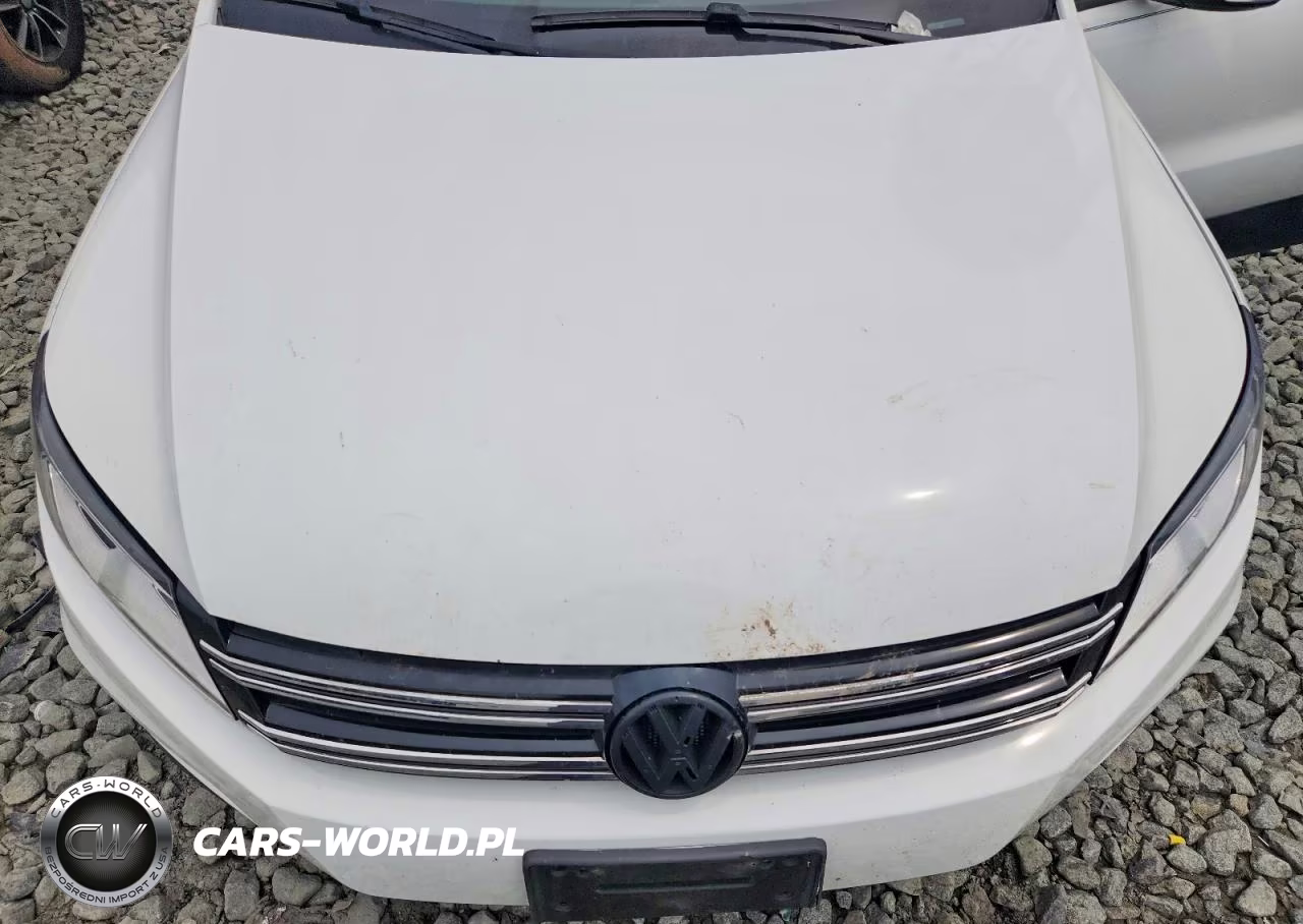 2015 Volkswagen Tiguan S VIN:WVGBV7AX2FW518952 - 11