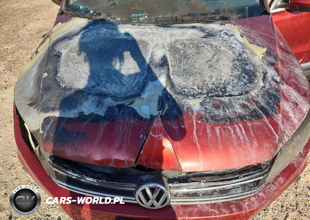2015 Volkswagen Tiguan S VIN:WVGAV7AX0FW018249 - 11