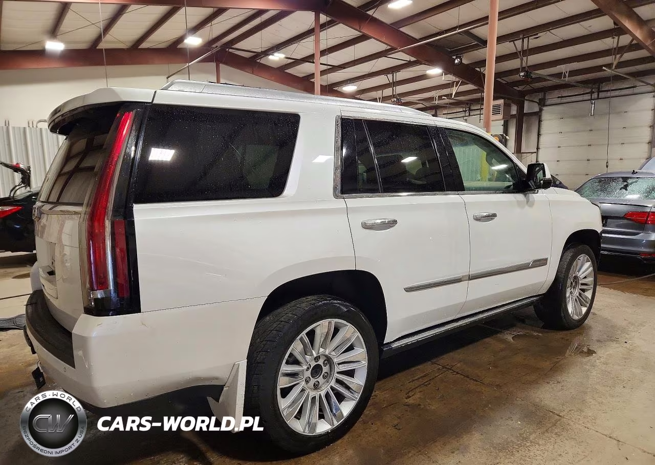 2016 Cadillac Escalade Platinum VIN:1GYS4DKJXGR149767 - 3