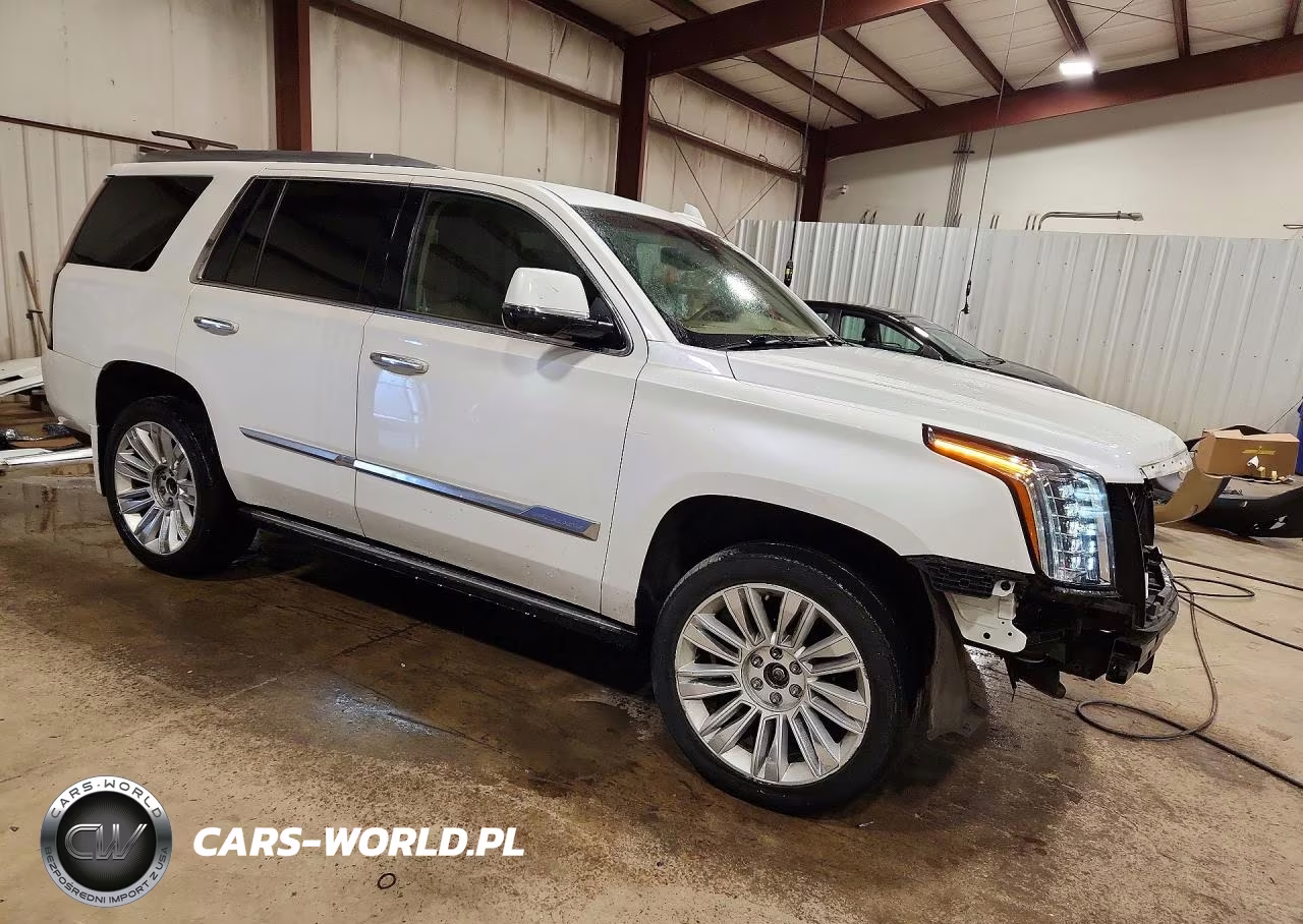 2016 Cadillac Escalade Platinum VIN:1GYS4DKJXGR149767 - 4