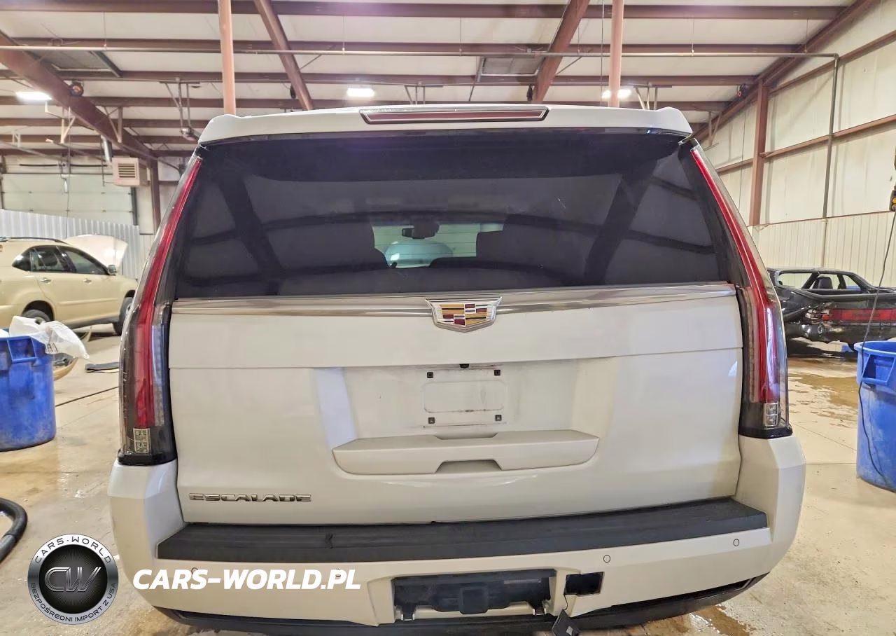 2016 Cadillac Escalade Platinum VIN:1GYS4DKJXGR149767 - 6