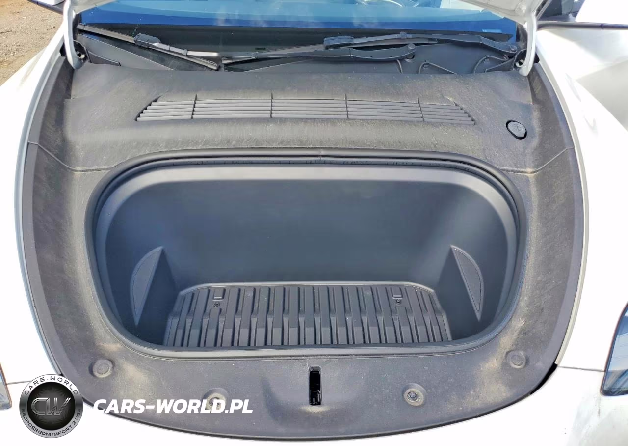 2023 Tesla Model Y VIN:7SAYGDEE2PA115883 - 11