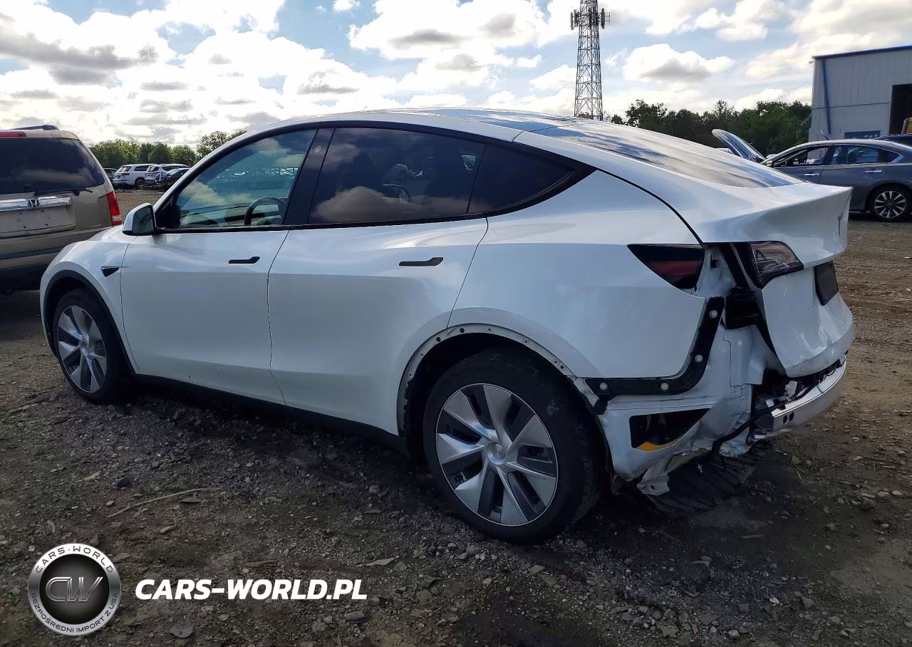 2023 Tesla Model Y VIN:7SAYGDEE2PA115883 - 2