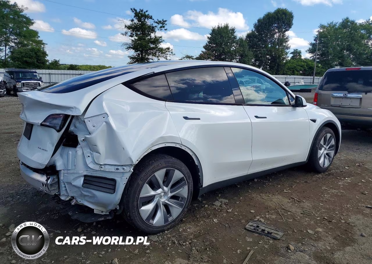 2023 Tesla Model Y VIN:7SAYGDEE2PA115883 - 3