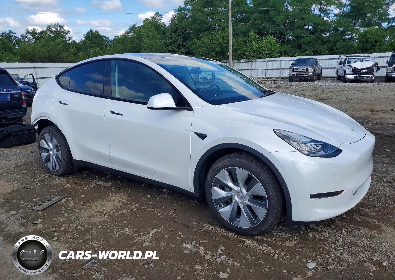 2023 Tesla Model Y VIN:7SAYGDEE2PA115883 - 4