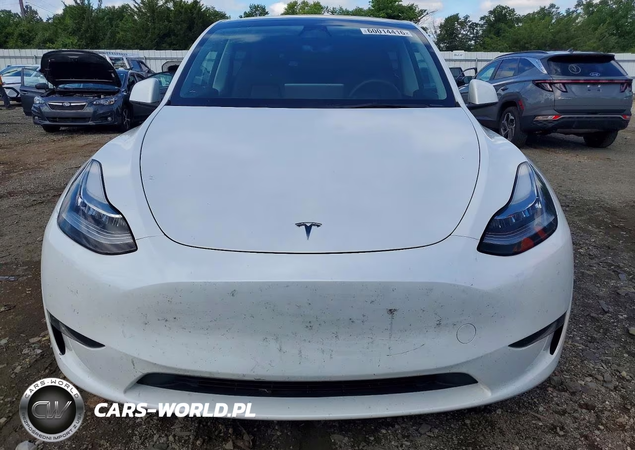 2023 Tesla Model Y VIN:7SAYGDEE2PA115883 - 5