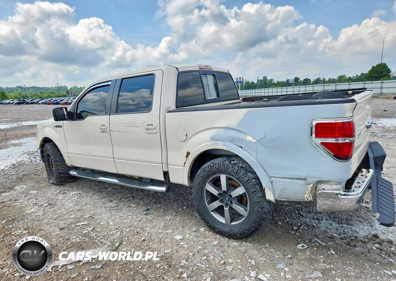 2009 Ford F150 Supercrew VIN:1FTPW14V99FA42234 - 2
