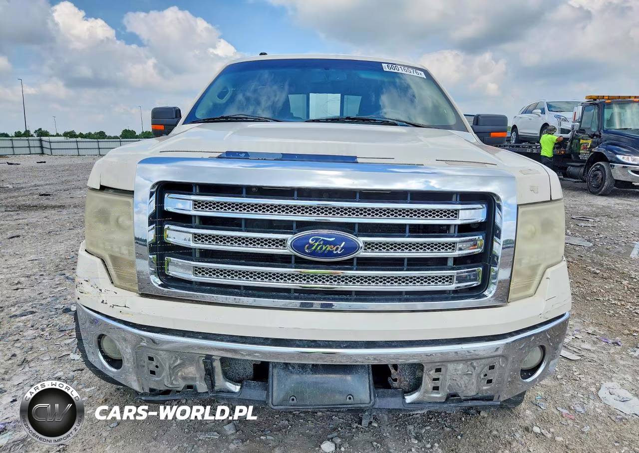 2009 Ford F150 Supercrew VIN:1FTPW14V99FA42234 - 5