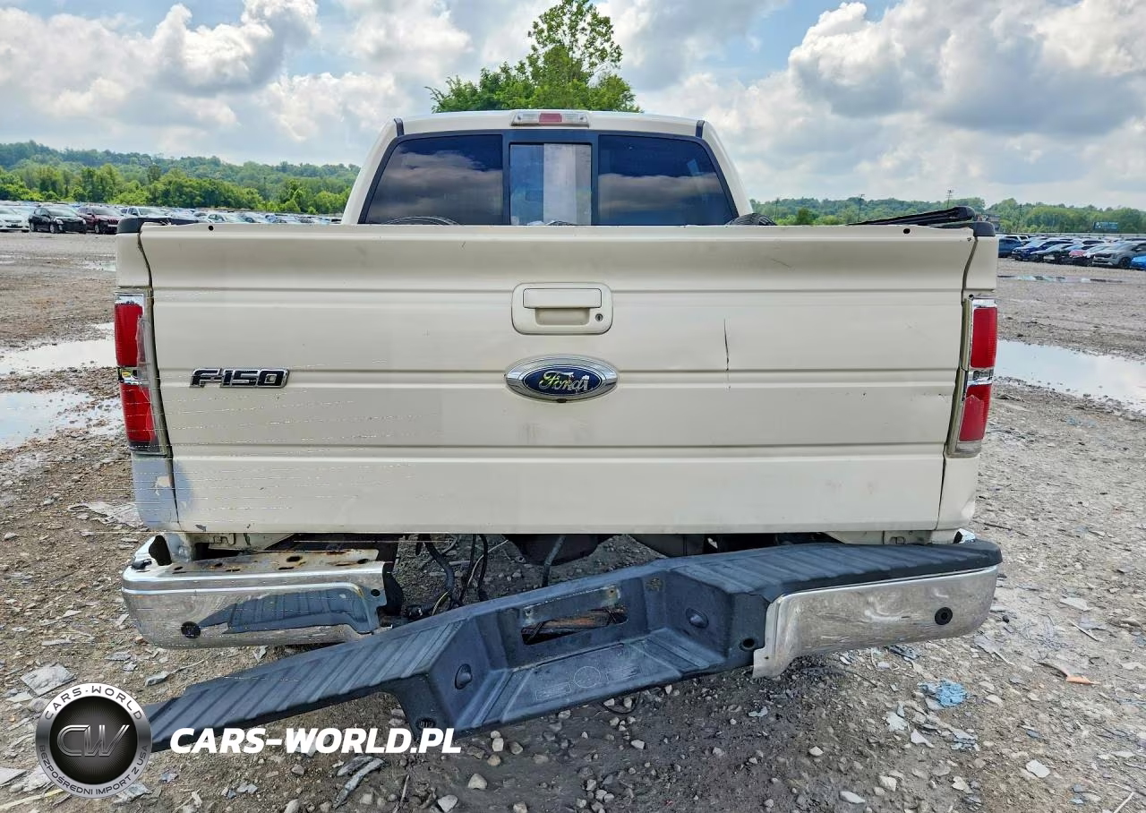 2009 Ford F150 Supercrew VIN:1FTPW14V99FA42234 - 6