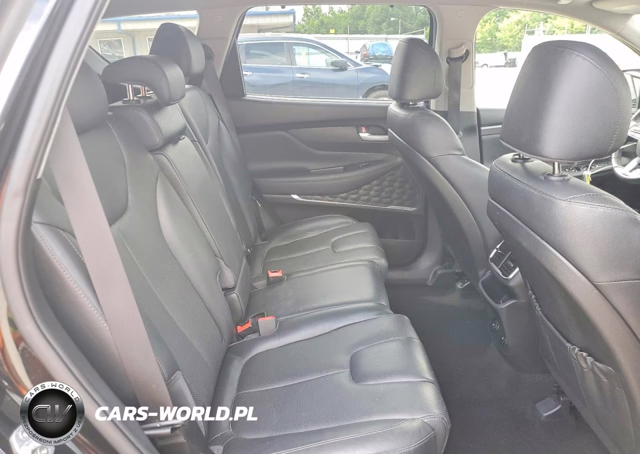 2020 Hyundai Santa Fe VIN:5NMS3CAD7LH194887 - 11