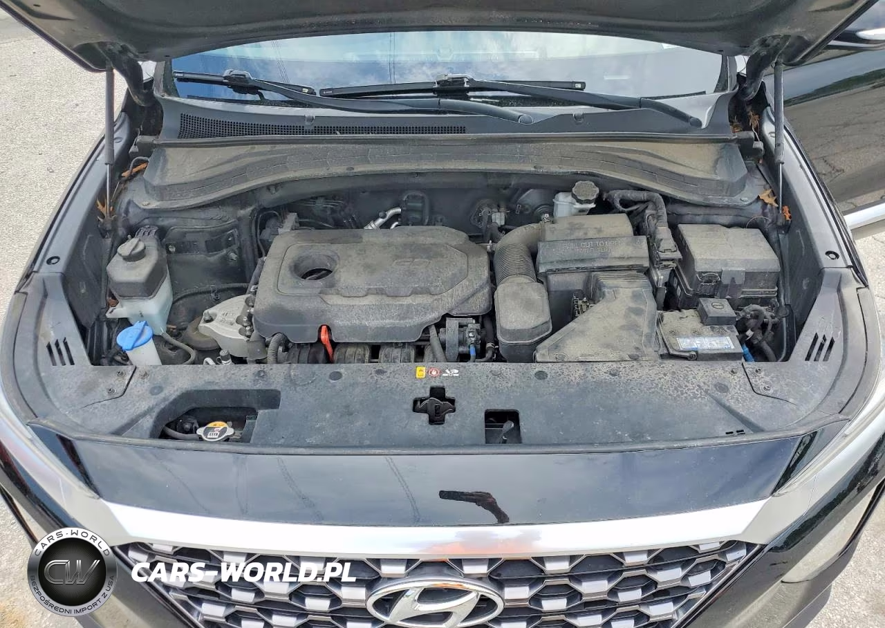 2020 Hyundai Santa Fe VIN:5NMS3CAD7LH194887 - 12