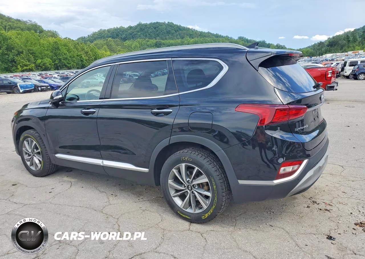 2020 Hyundai Santa Fe VIN:5NMS3CAD7LH194887 - 2
