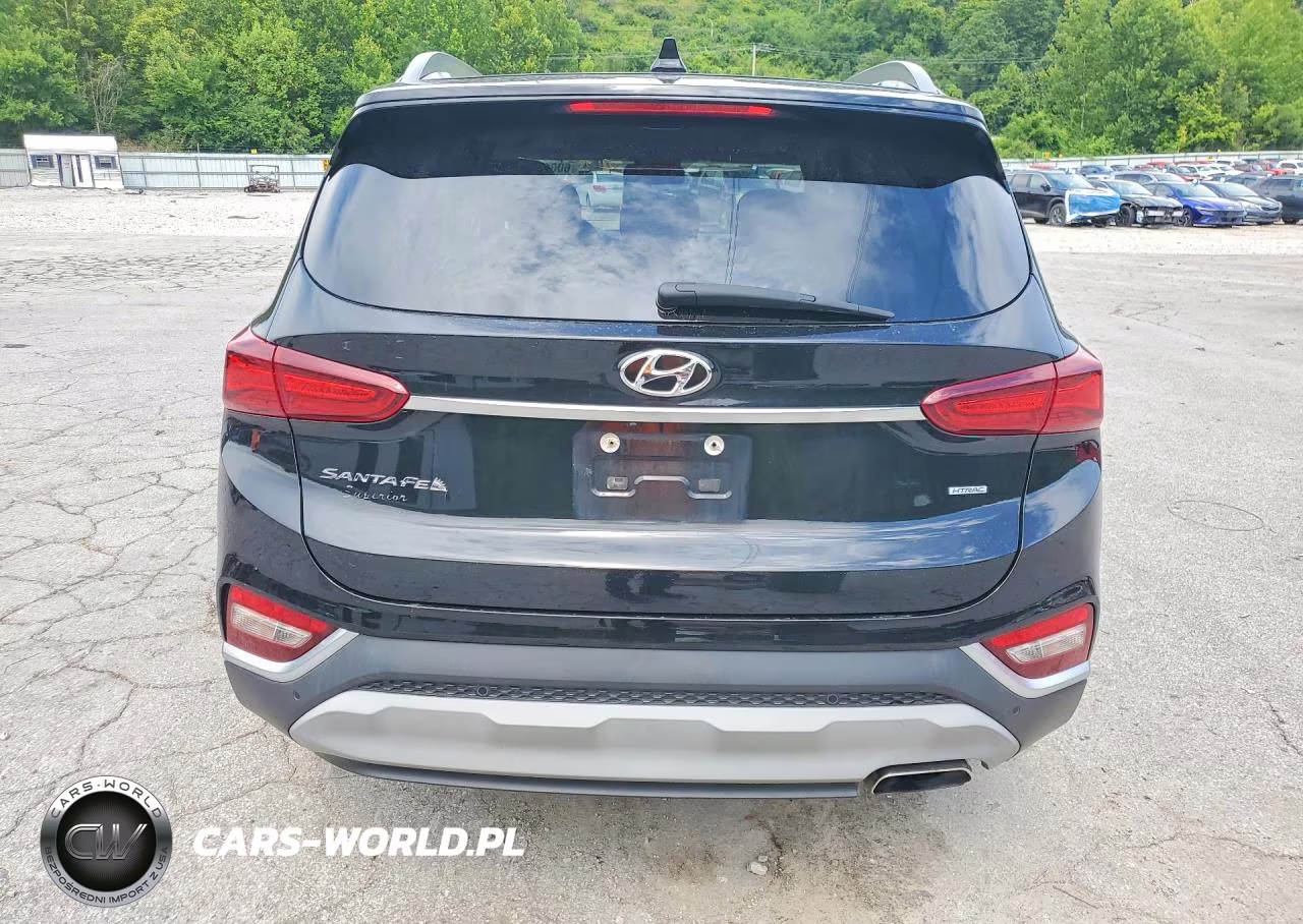 2020 Hyundai Santa Fe VIN:5NMS3CAD7LH194887 - 6
