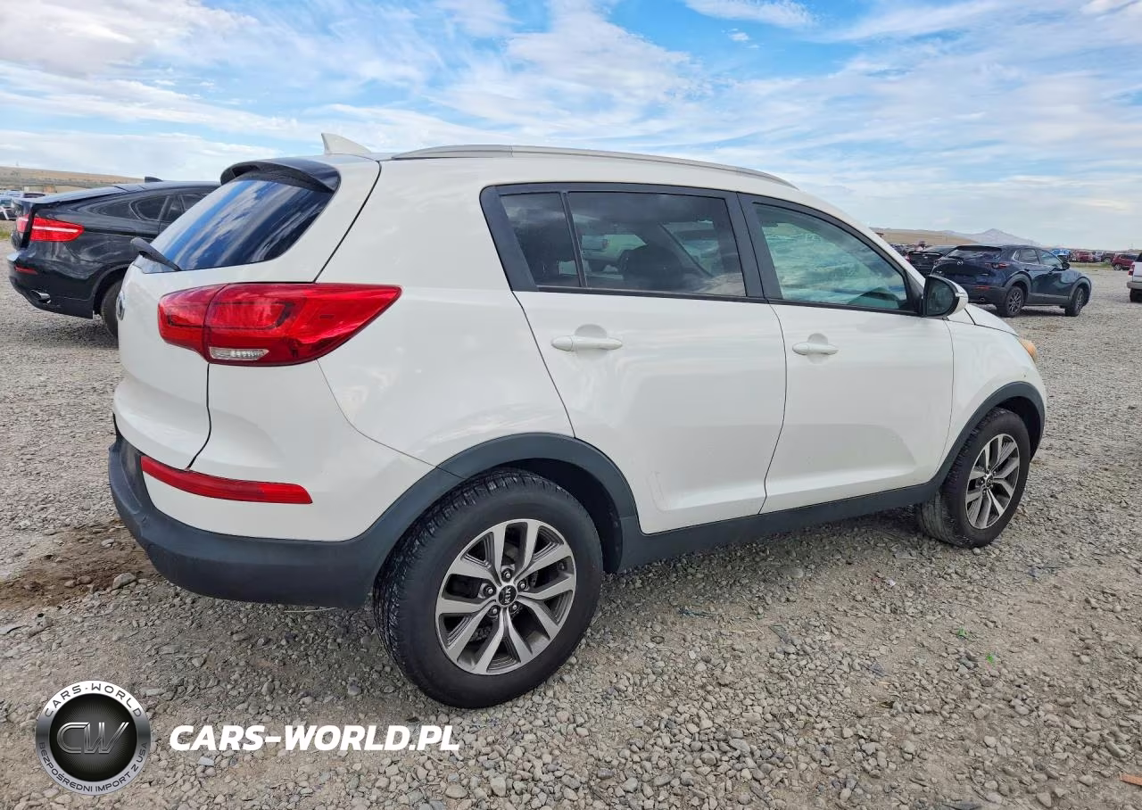 2015 Kia Sportage Lx VIN:KNDPB3ACXF7678709 - 3