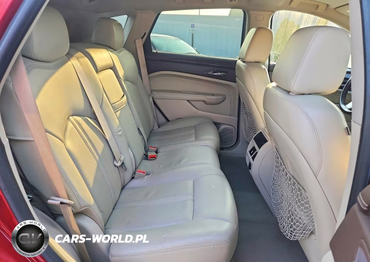 2010 Cadillac Srx Luxury Collection VIN:3GYFNAEY3AS649215 - 10