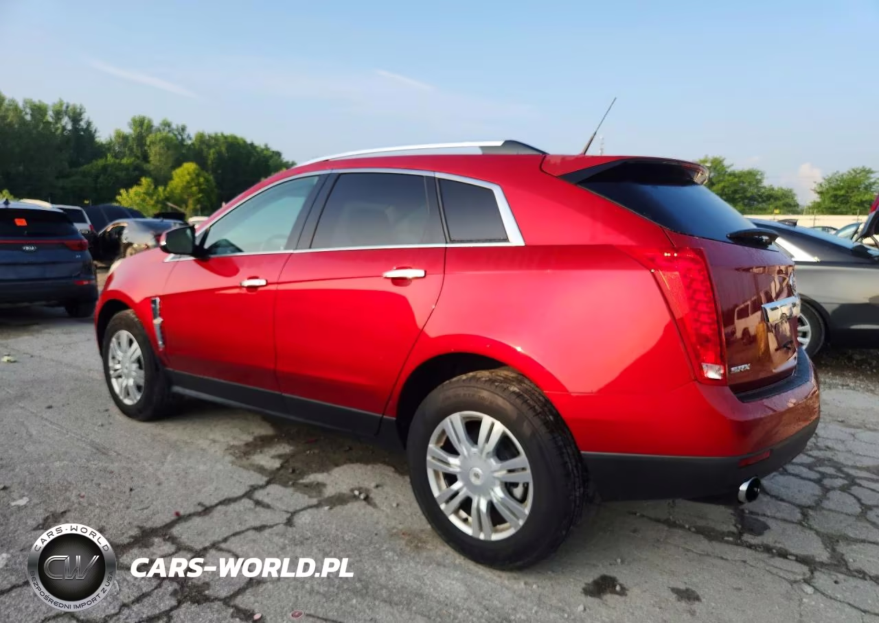 2010 Cadillac Srx Luxury Collection VIN:3GYFNAEY3AS649215 - 2