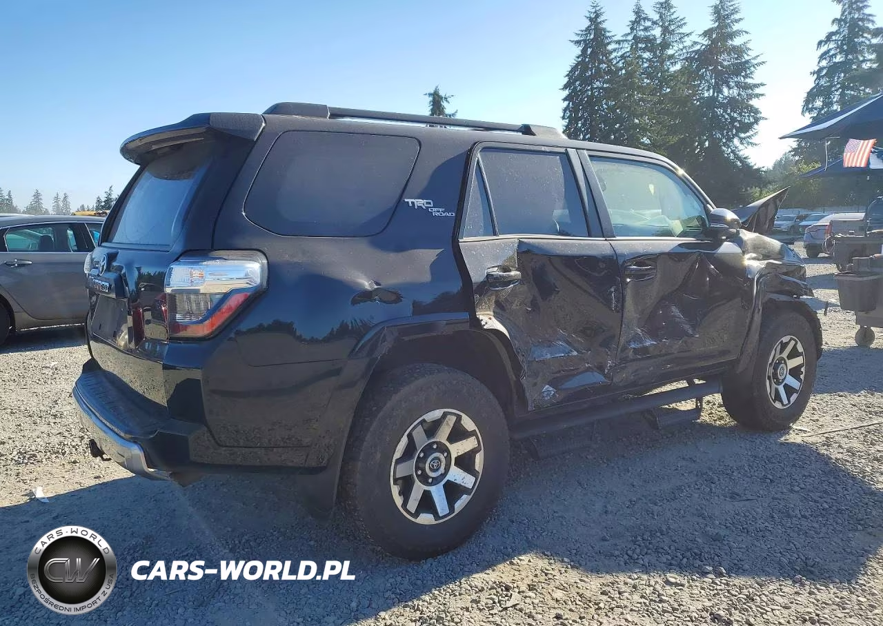 2019 Toyota 4Runner Trd Off-Road Premium VIN:JTEBU5JR0K5633641 - 3