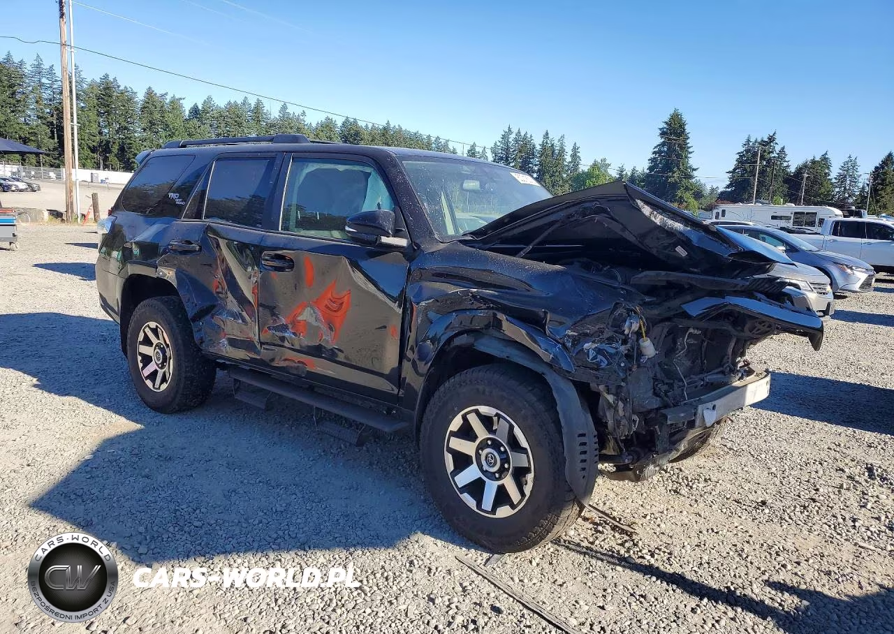 2019 Toyota 4Runner Trd Off-Road Premium VIN:JTEBU5JR0K5633641 - 4