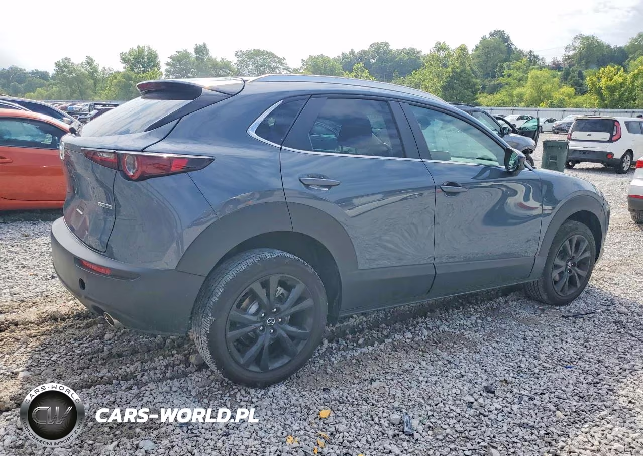 2022 Mazda Cx-30 Preferred VIN:3MVDMBCL3NM403447 - 3