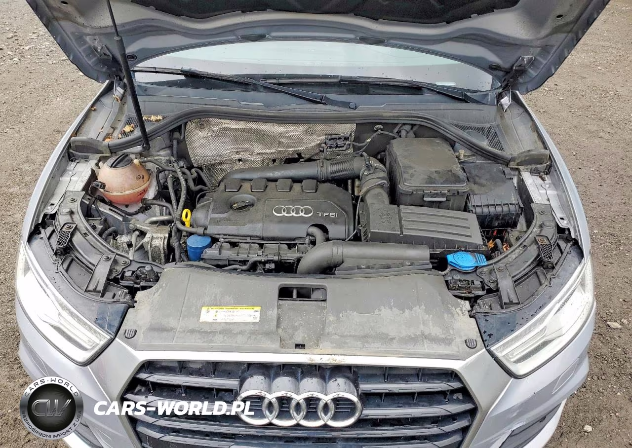 2016 Audi Q3 Premium Plus VIN:WA1EFCFS9GR017443 - 12