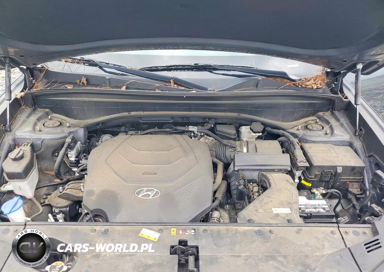 2021 Hyundai Palisade Sel VIN:KM8R44HE4MU227477 - 12