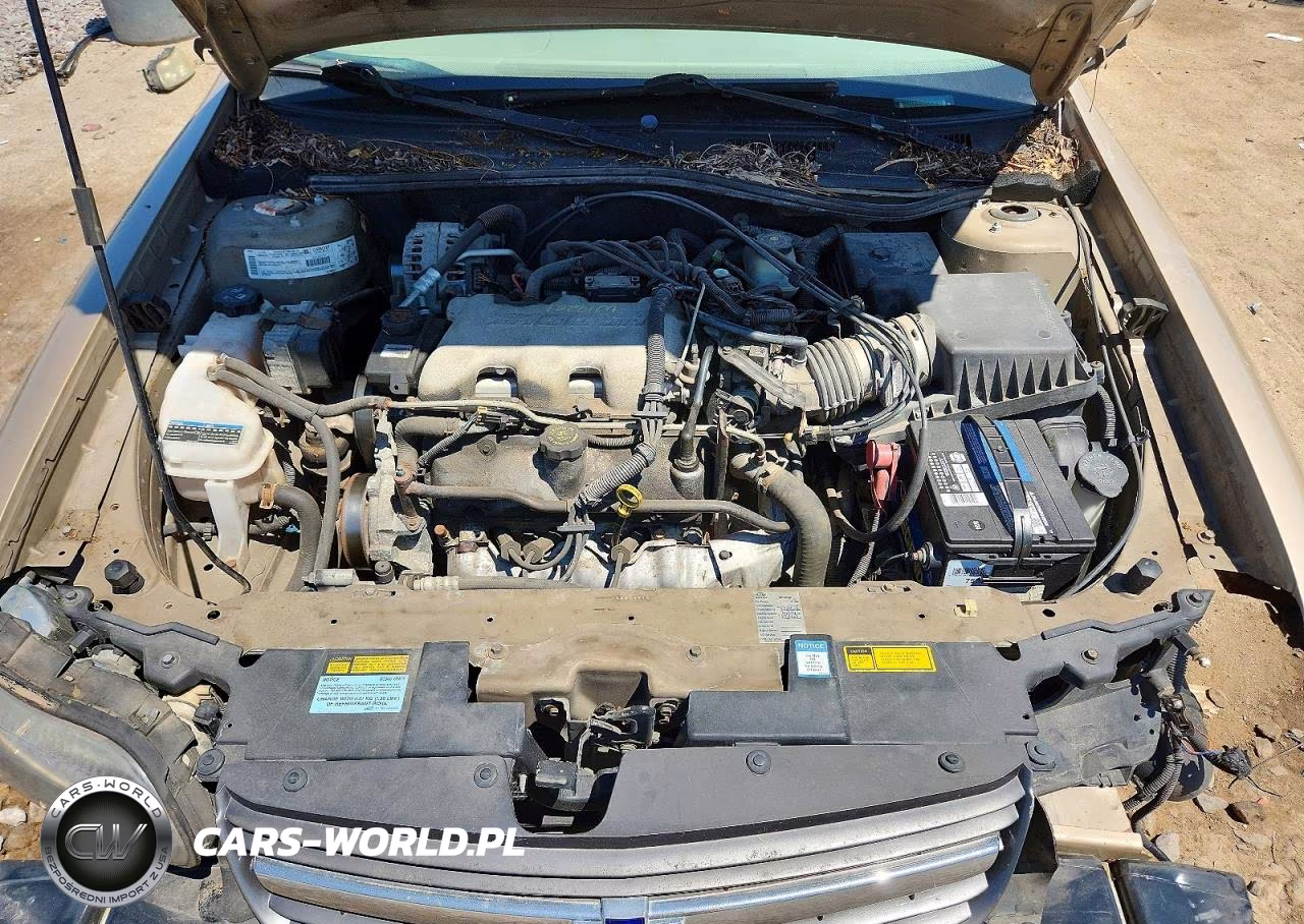 2001 Chevrolet Malibu VIN:1G1ND52J516199034 - 11